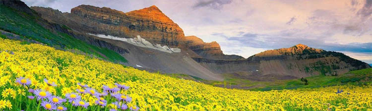 valley of flower trek